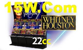 VIP Casino 22cc